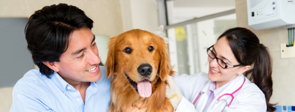 Ambulatorio Veterinario - Dottoressa Marilisa Sgarella - Sassari